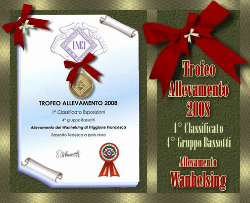 Archive page: ENCI certificate — Trofeo Allevamento 2008, 1° Classificato Esposizioni, 4° gruppo Bassotti, Allevamento del Wanhelsing