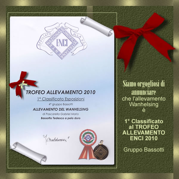 Archive page: ENCI certificate — Trofeo Allevamento 2010, 1° Classificato Esposizioni, 4° gruppo Bassotti, Allevamento del Wanhelsing