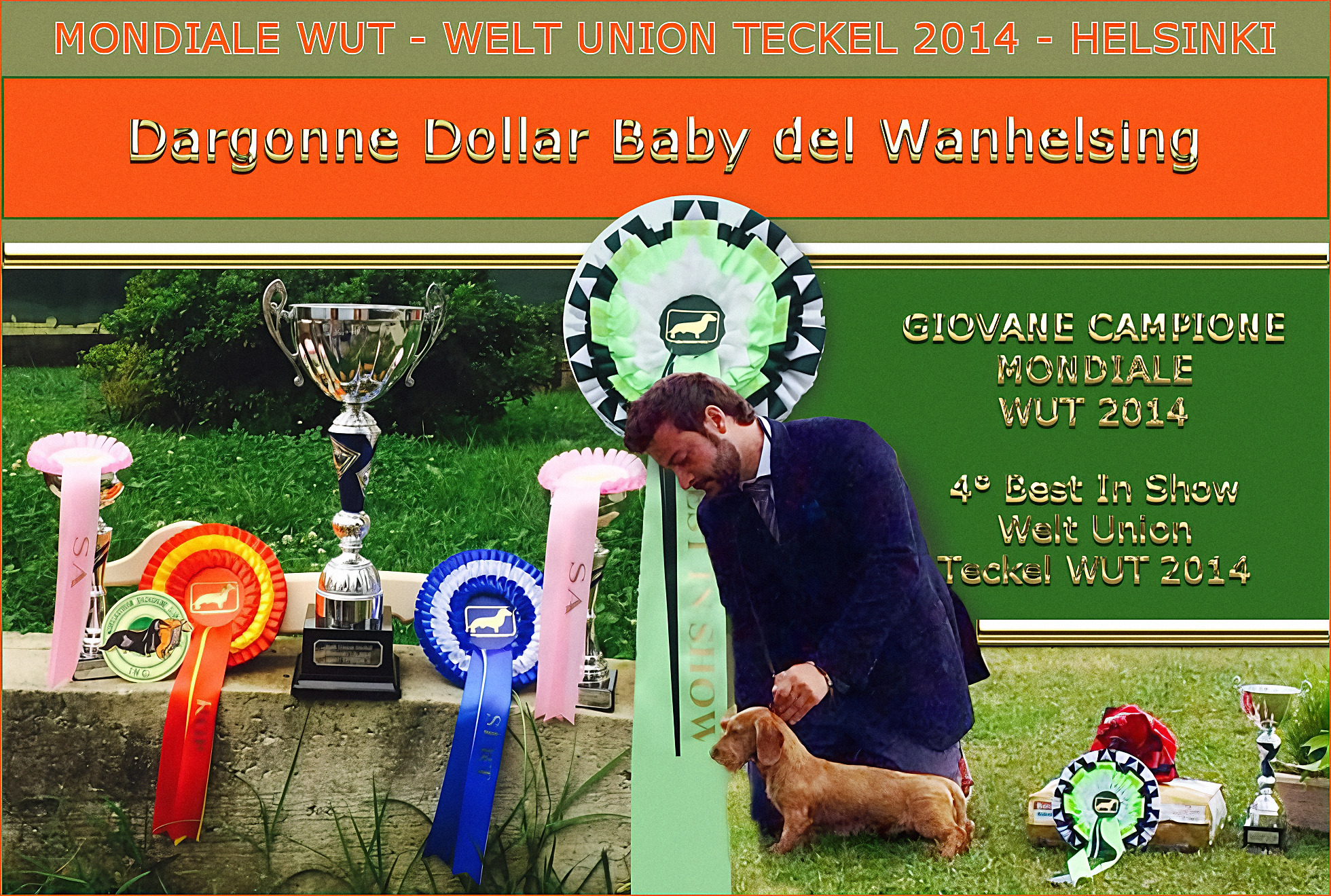 Archive page: rosettes and cup from the Mondiale WUT 2014 in Helsinki